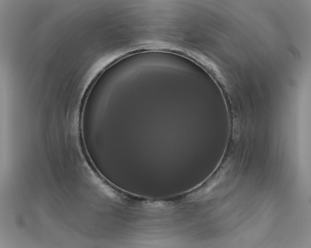 X0000111521231200907141501