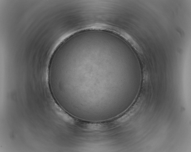 X0000111521232200907141501