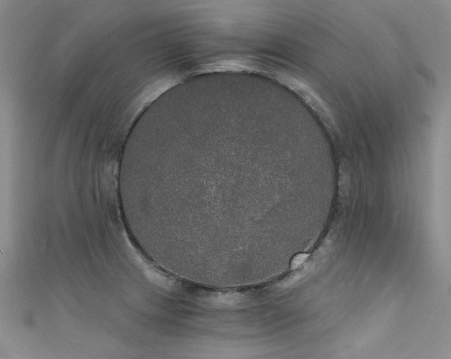 X0000111521233200907141501