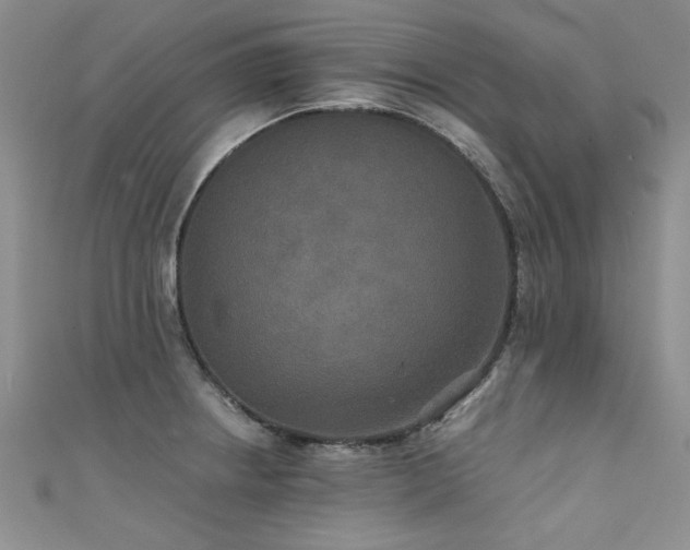 X0000111521234200907141501