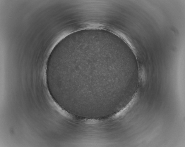 X0000111521235200907141501