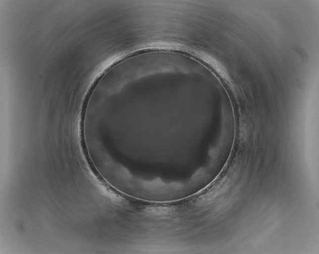 X0000111521237200907141501