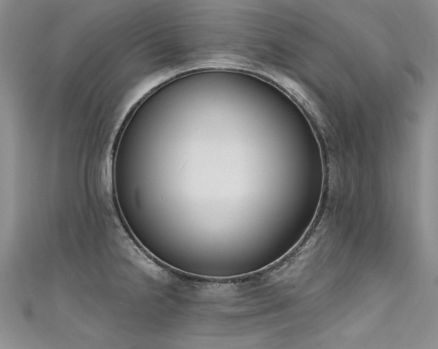 X0000111521238200907141501