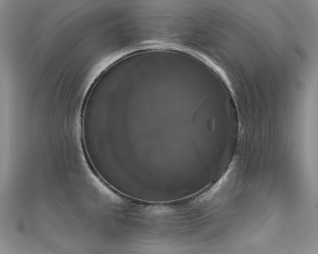 X0000111521239200907141501