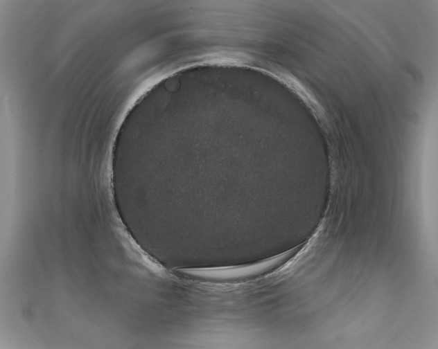 X0000111521240200907141501
