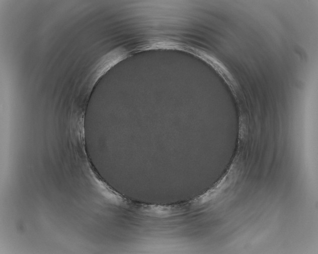 X0000111521241200907141501