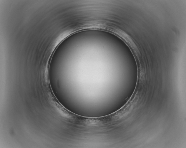 X0000111521242200907141501