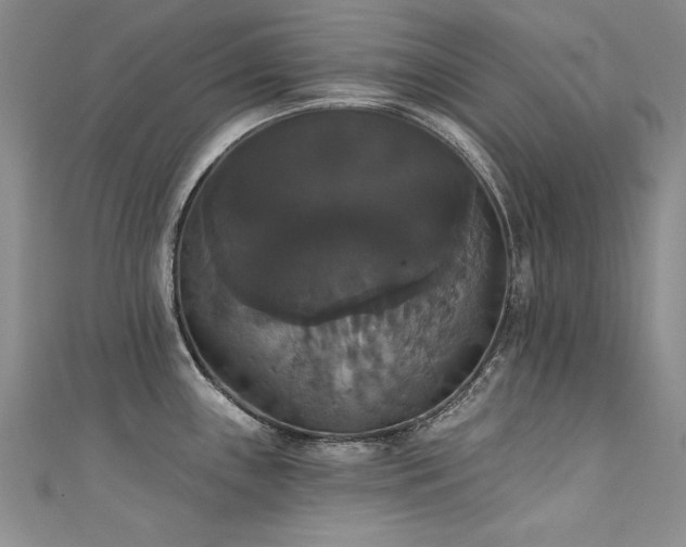 X0000111521243200907141501