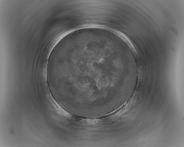 X0000111521244200907141501