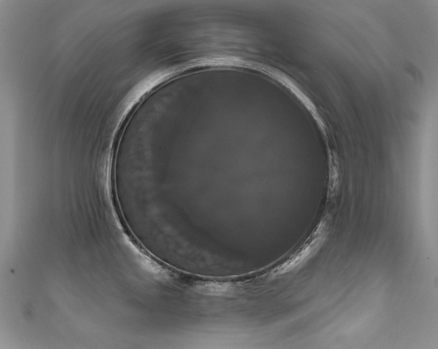 X0000111521245200907141501