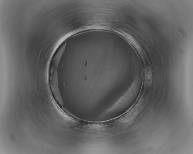 X0000111521246200907141501