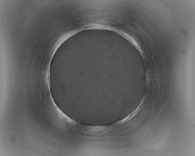 X0000111521247200907141501