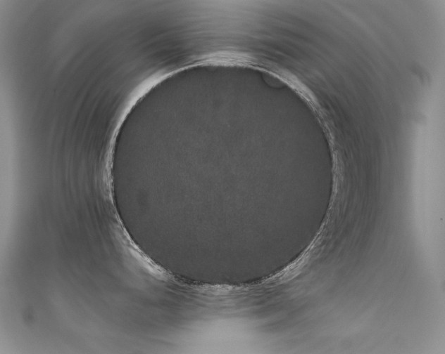 X0000111521248200907141501