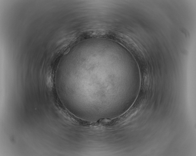 X0000111521250200907141501