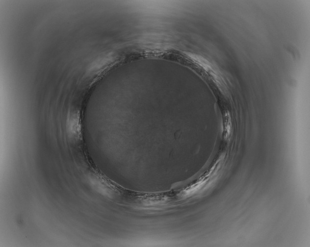 X0000111521252200907141501