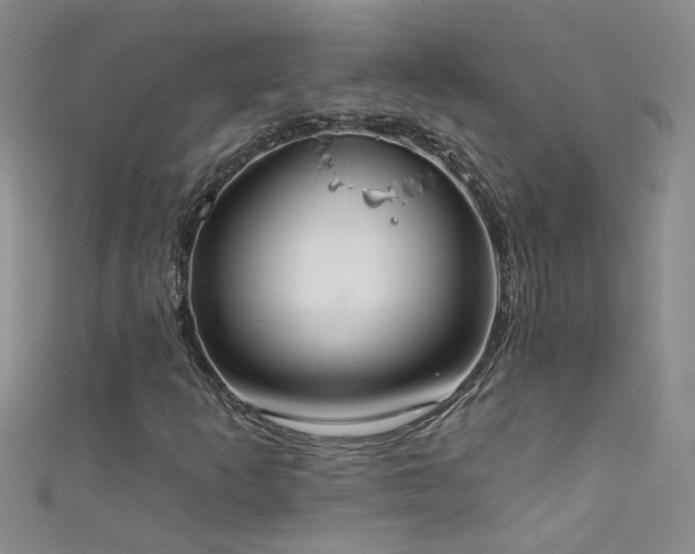 X0000111521253200907141501