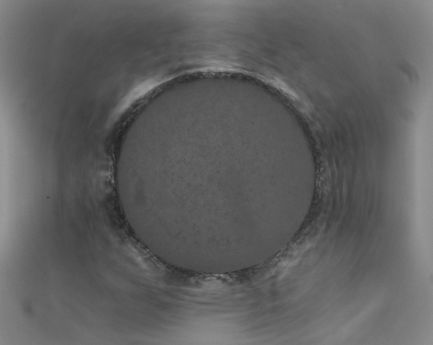 X0000111521255200907141501