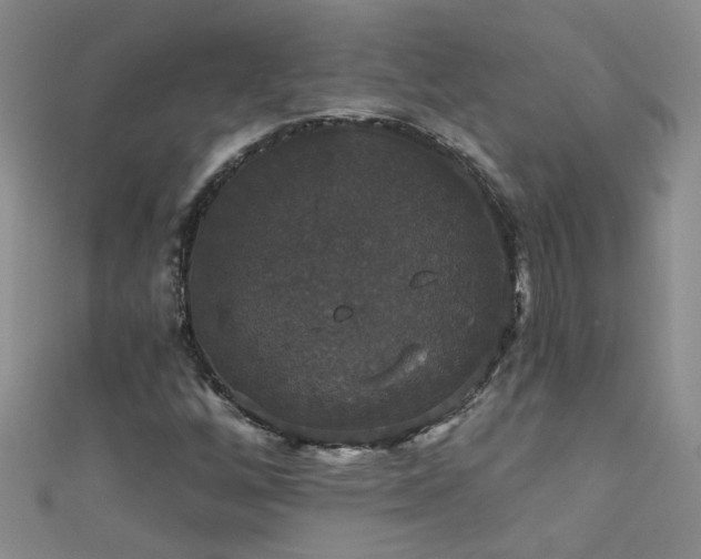 X0000111521256200907141501