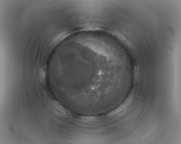 X0000111521257200907141501