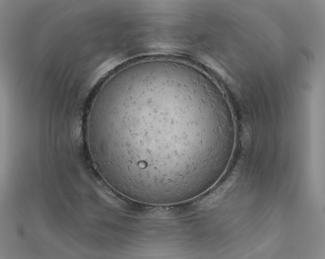 X0000111521259200907141501