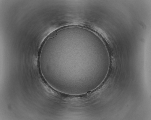 X0000111521260200907141500