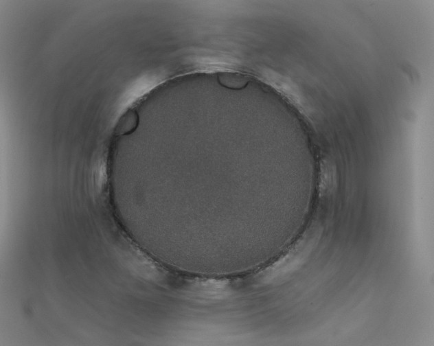 X0000111521261200907141500