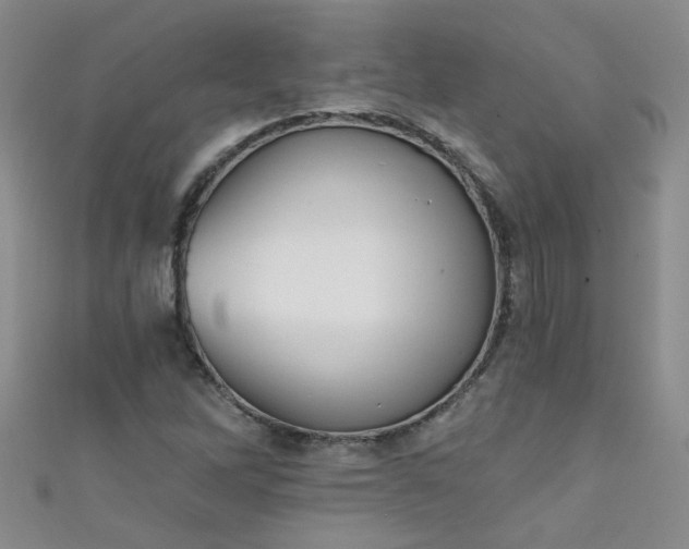 X0000111521262200907141500
