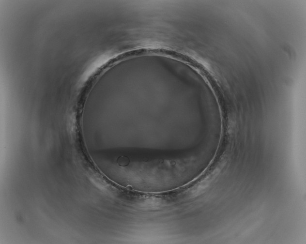 X0000111521263200907141500