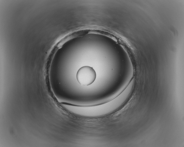 X0000111521264200907141500