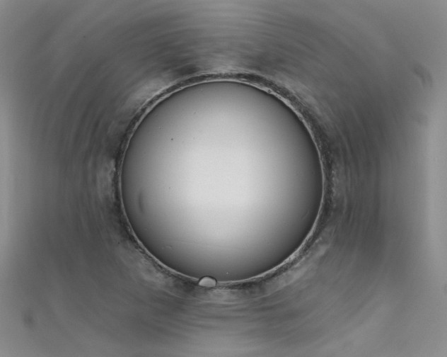 X0000111521265200907141500