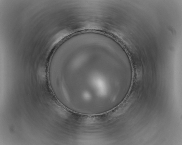 X0000111521266200907141500