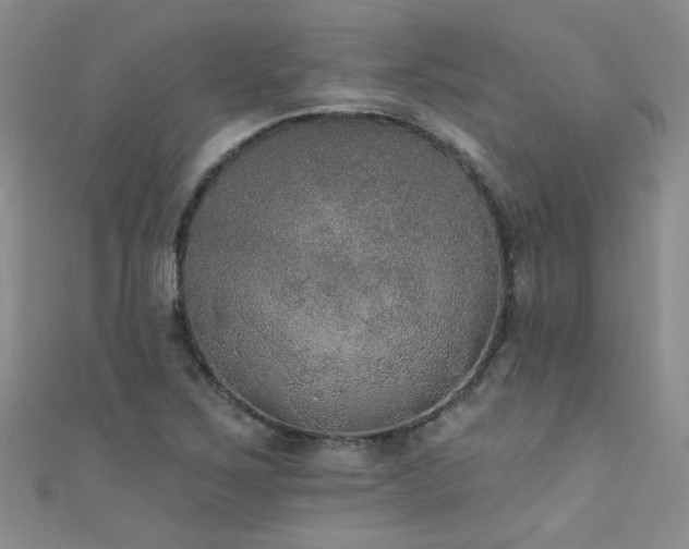 X0000111521267200907141500