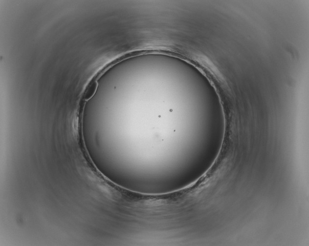 X0000111521268200907141500