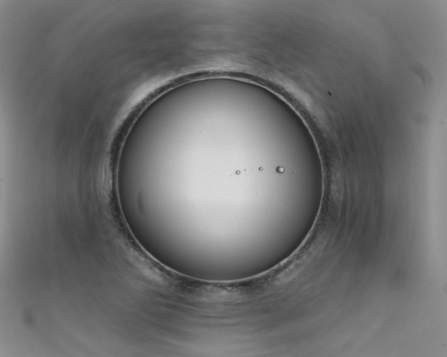 X0000111521270200907141500