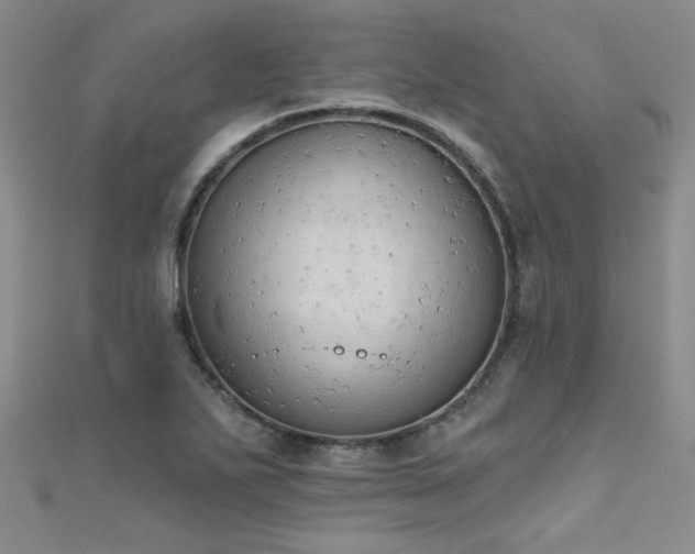 X0000111521271200907141500