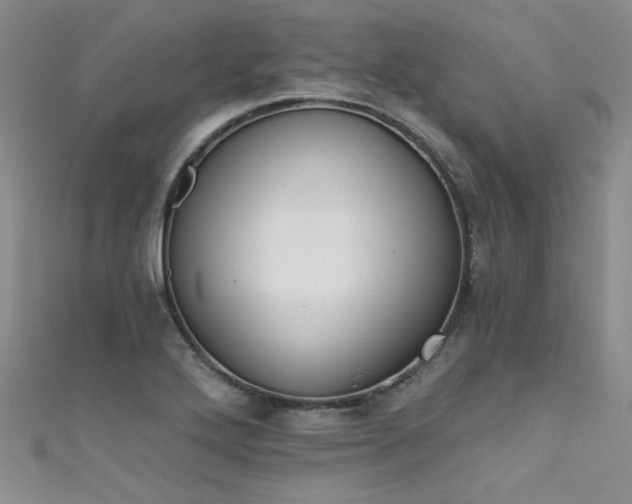 X0000111521272200907141500