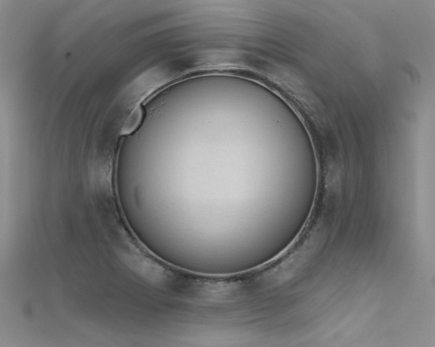 X0000111521273200907141500