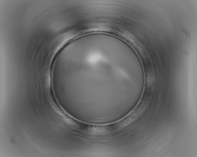X0000111521274200907141500