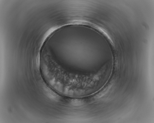 X0000111521275200907141500