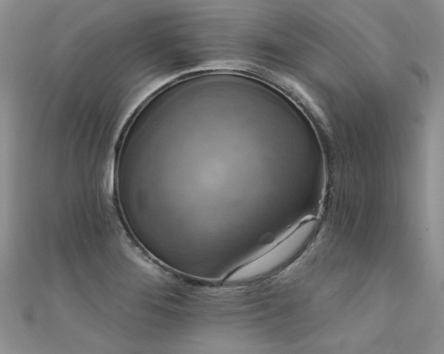 X0000111521276200907141500
