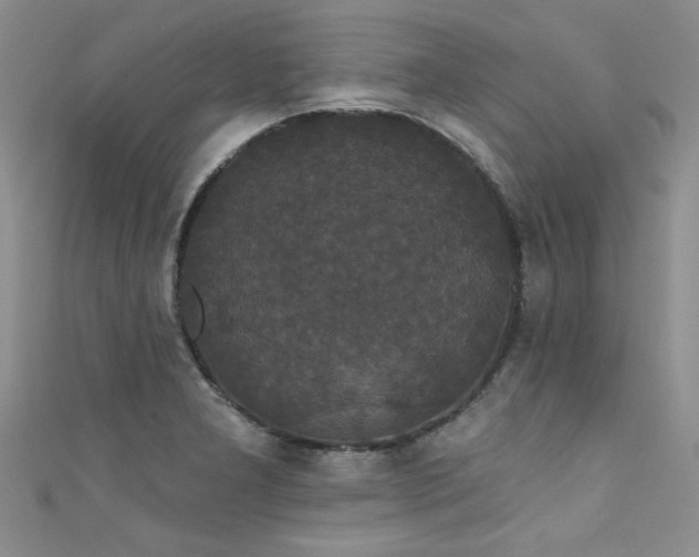 X0000111521277200907141500