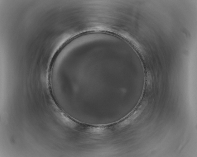 X0000111521278200907141500