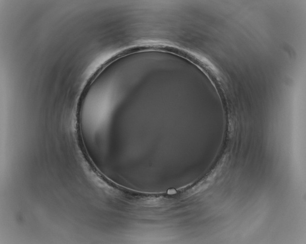 X0000111521279200907141500