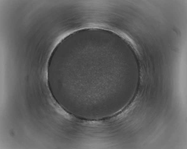 X0000111521280200907141500