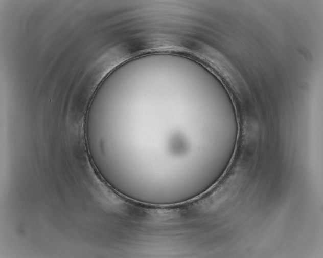 X0000111521281200907141500