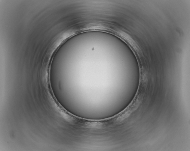 X0000111521282200907141500