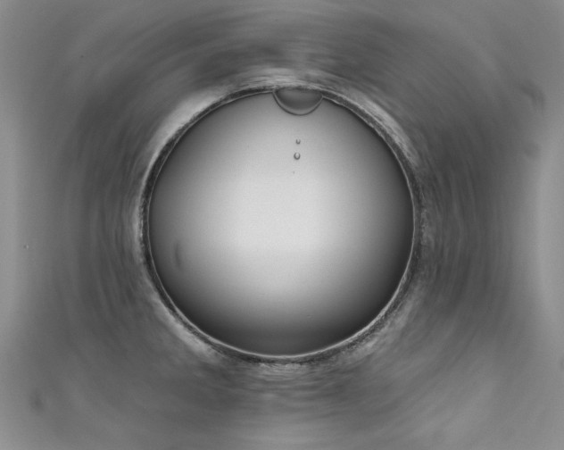 X0000111521285200907141500