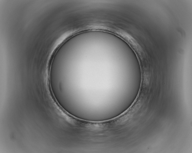 X0000111521286200907141500