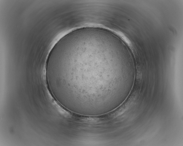 X0000111521287200907141500