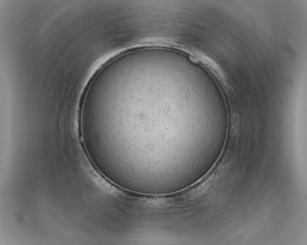 X0000111521288200907141500